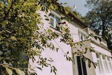 Фото номера Дом для отпуска Дома для отпуска Ohana House г. Сопот 84