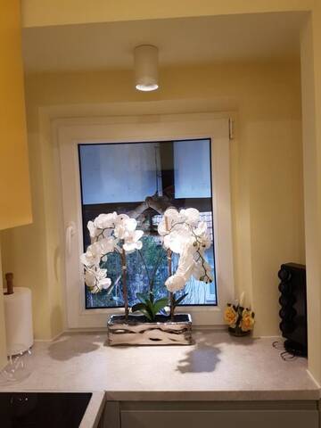 Фото Апартаменты Apartament Kapitański г. Сопот 4