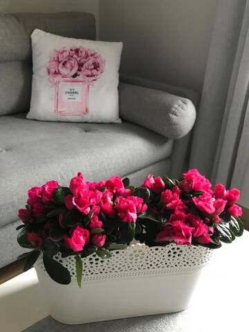 Фото номера Апартаменты с 1 спальней Апартаменты Glamour Apartment przy plaży г. Сопот 74