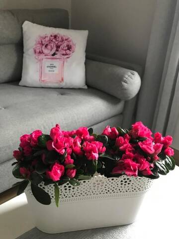 Фото Апартаменты Glamour Apartment przy plaży г. Сопот 5