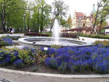 Фото номера Апартаменты с 1 спальней - 32 Haffnera Street Апартаменты Kierunek Sopot Apartament WERANDA Haffnera 32 г. Сопот 50