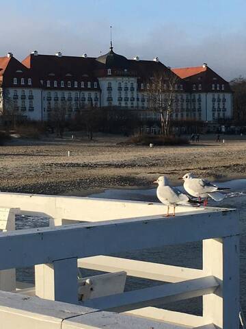 Фото номера Апартаменты с балконом Апартаменты Forest Hamptons Apartment Sopot Aquapark г. Сопот 24